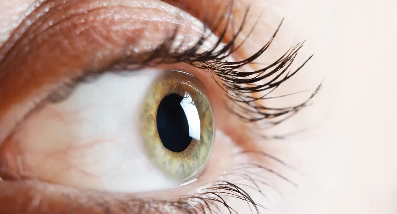 What is the best way to buy grey colored contacts?