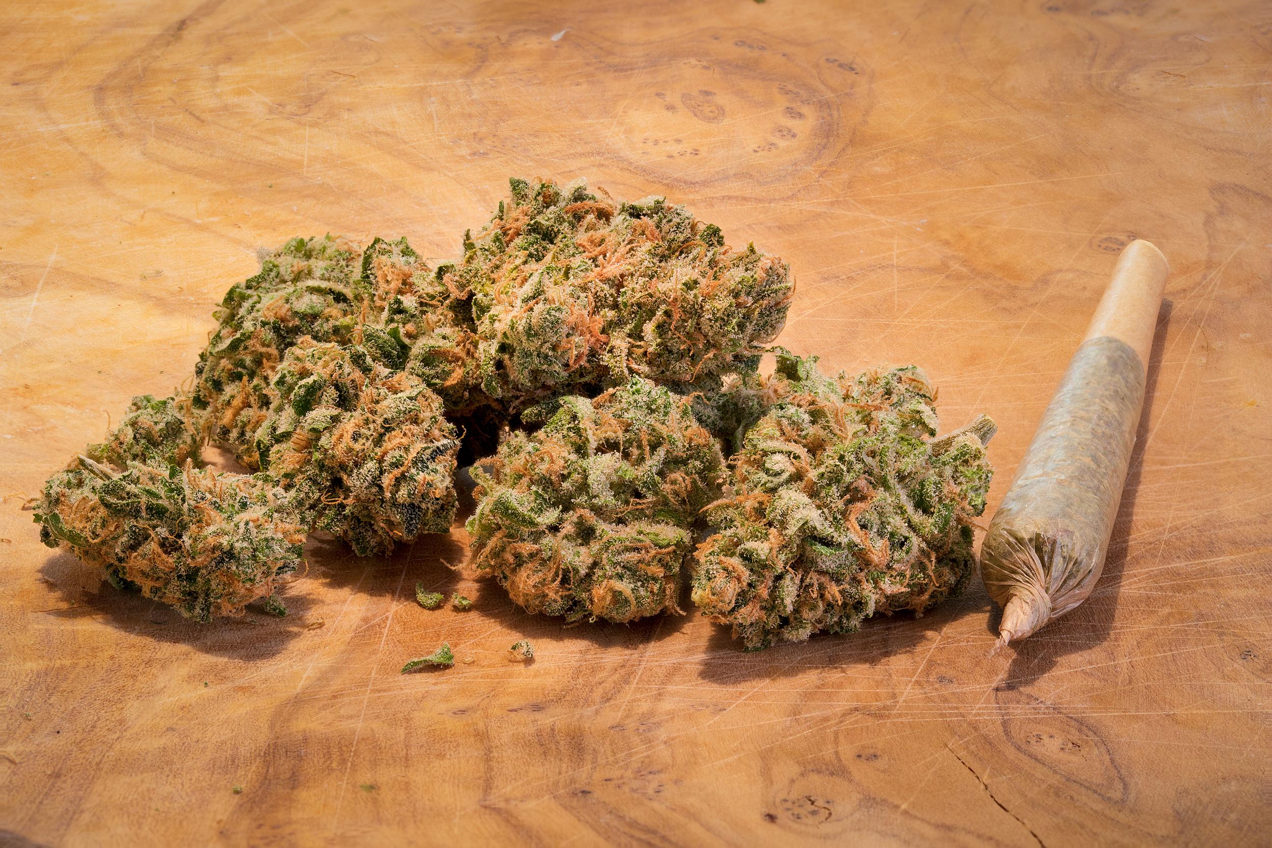 Choosing the Right Cannabis Products